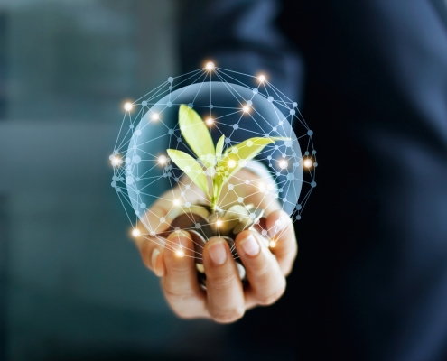 iStock-928173178-scaled